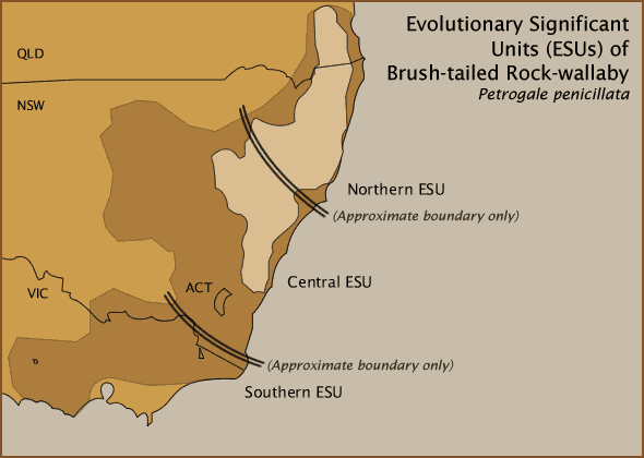 Evolutionary Significant Units (ESUs) of Brush-tailed Rock-wallaby